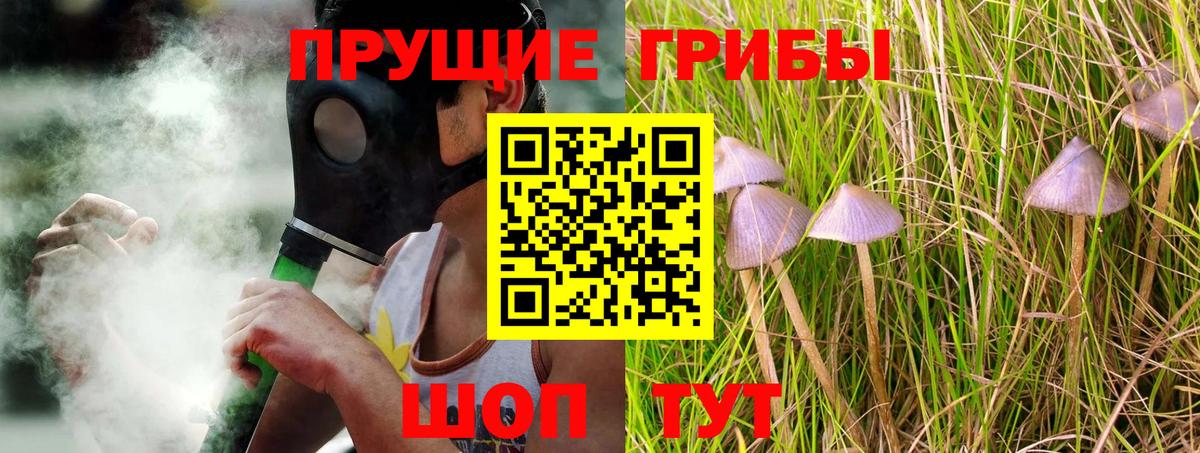 Знаменск  Галлюциногенные грибы Psilocybe  Псилоцибиновые грибы мухоморы  Вход с VPN 